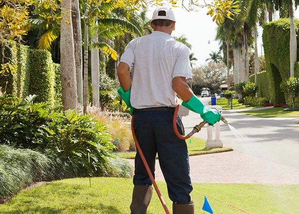 About Balsam Lake WI Pest Control